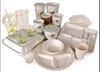 Disposable Products Image