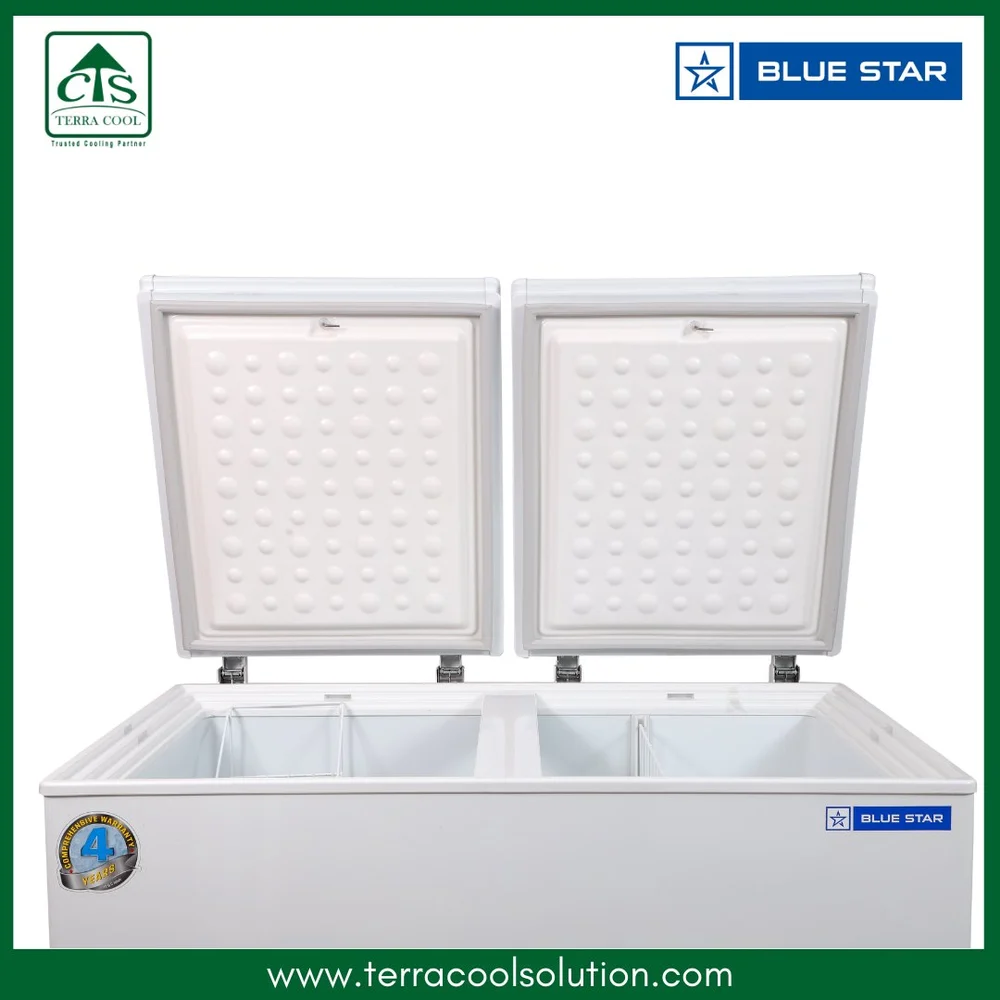 Large Blue Star CHFDD300MGEW Freezer, Capacity: 200 L