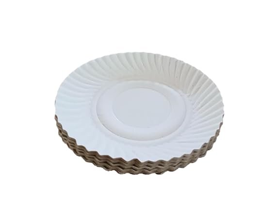 Biodegradable Paper Plate