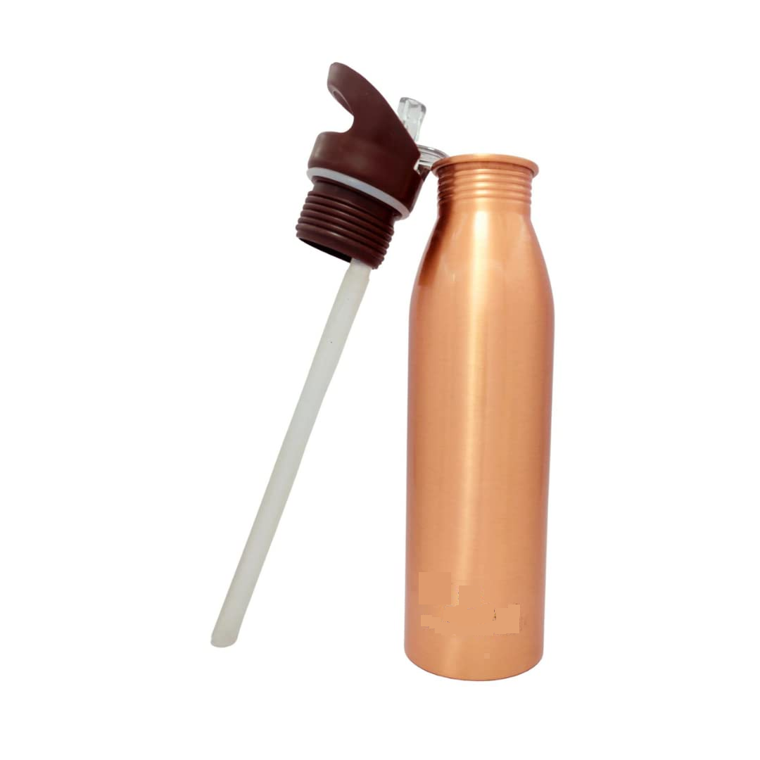 650ml Copper Sipper Bottle