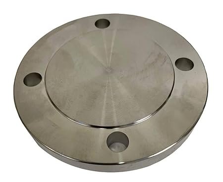 316L SS Flanges